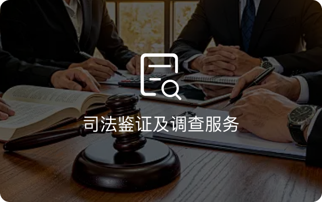 司法鉴证及调查服务